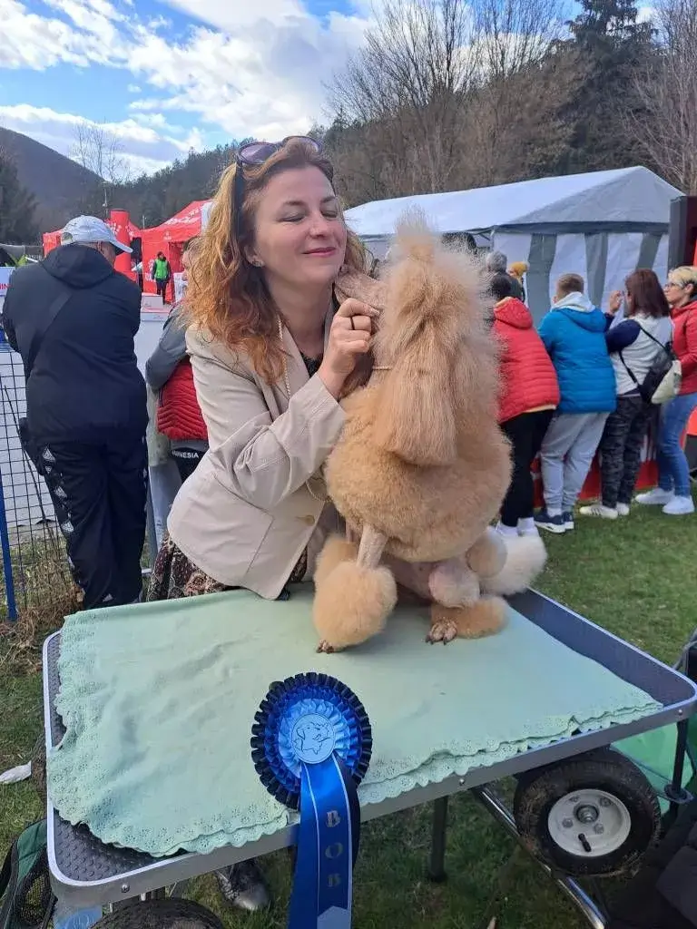 Salgótarján Dog Show 2023 Uszkár 3