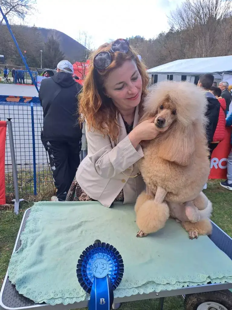 Salgótarján Dog Show 2023 Uszkár 2