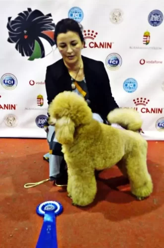 Budapest Winner Grand Prix Uszkar